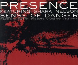 【輸入盤】Sense of Danger Remixes