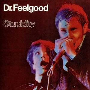 【輸入盤】Stupidity