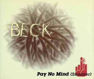 【輸入盤】Pay No Mind