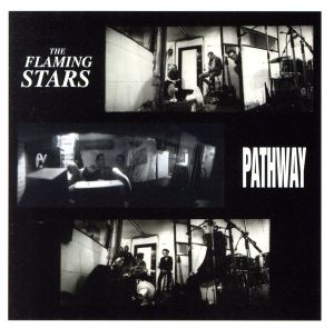 【輸入盤】Pathway