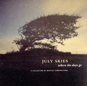 【輸入盤】Where the Days Go