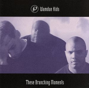 【輸入盤】These Branching Moments