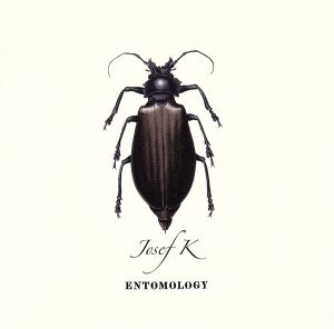 【輸入盤】Entomology