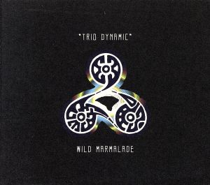 【輸入盤】Triodynamic