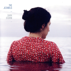 【輸入盤】Dark Storm