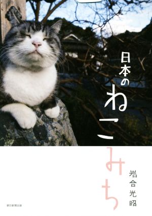 日本のねこみち