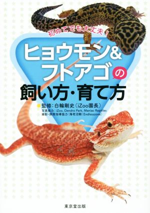 初めてでも大丈夫！ヒョウモン&フトアゴの飼い方・育て方