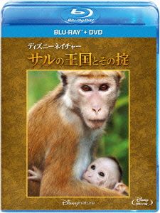 ディズニーネイチャー/サルの王国とその掟 ブルーレイ+DVDセット(Blu-ray Disc)