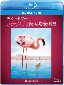 ディズニーネイチャー/フラミンゴに隠された地球の秘密 ブルーレイ+DVDセット(Blu-ray Disc)