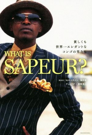 WHAT IS SAPEUR？