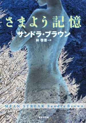 さまよう記憶集英社文庫