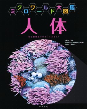 ミクロワールド大図鑑 人体 電子顕微鏡でのぞいてみよう！