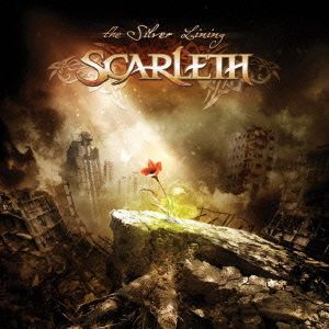 ザ・シルヴァー・ライニング