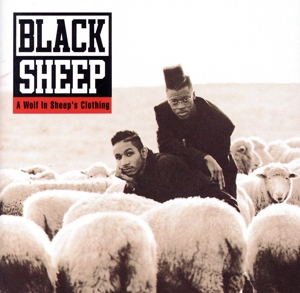 【輸入盤】A Wolf In Sheep's Clothing