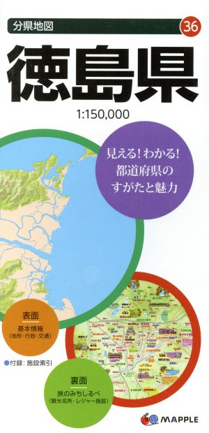 徳島県 分県地図36