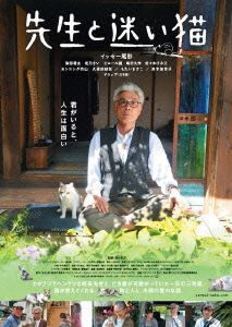 先生と迷い猫 豪華版(Blu-ray Disc)