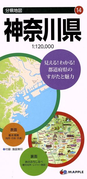 神奈川県 分県地図14