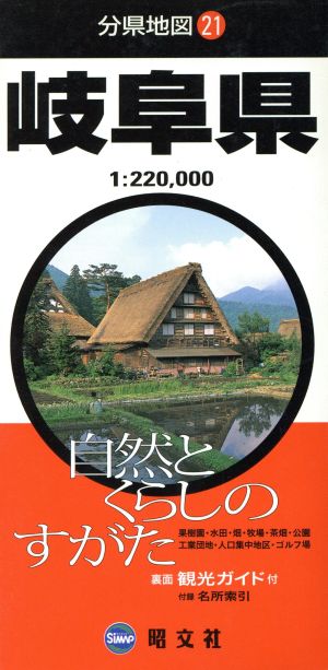 岐阜県 分県地図21