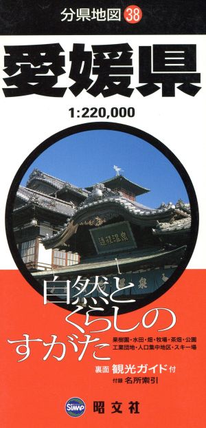 愛媛県 分県地図38