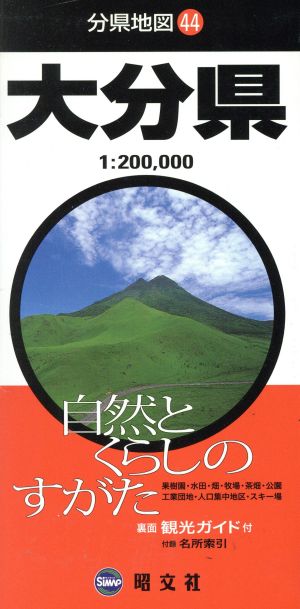 大分県 分県地図44