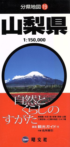 山梨県 分県地図19