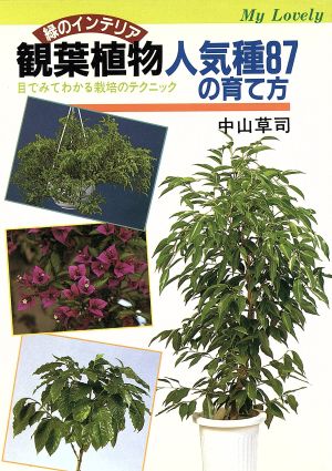 観葉植物人気種87の育て方 MY LOVELY GREEN