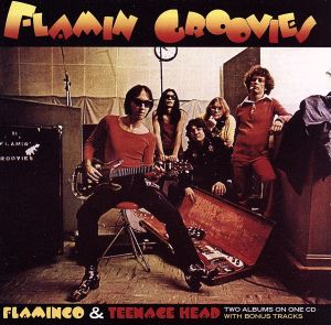 FLAMINGO/TEENAGE HEAD