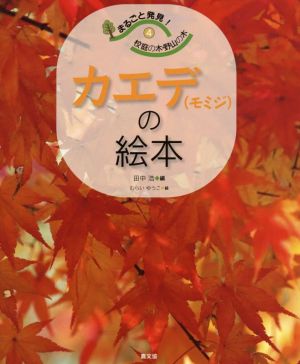 カエデ(モミジ)の絵本 まるごと発見！校庭の木・野山の木4