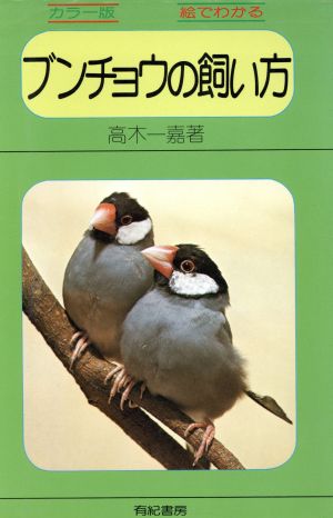 カラー版 絵でわかるブンチョウの飼い方