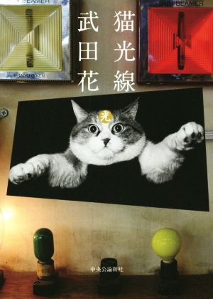 写真集 猫光線