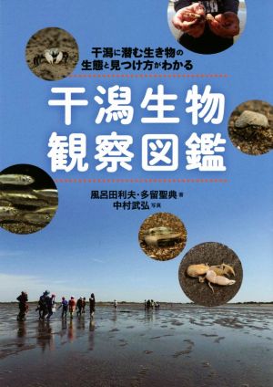 干潟生物観察図鑑 干潟に潜む生き物の生態と見つけ方がわかる