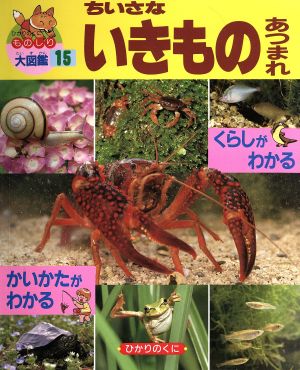 ちいさないきものあつまれ ひかりのくにものしり大図鑑15