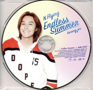 Endless Summer(初回限定盤)(ピクチャーレーベル盤/グァンジン)