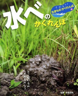 水べのかくれんぼ どこにいるかわかるかな？ さがそう！生きものかくれんぼ4