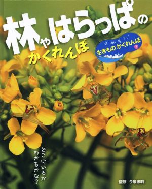 林やはらっぱのかくれんぼ どこにいるかわかるかな？ さがそう！生きものかくれんぼ3