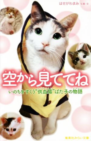 空から見ててね いのちをすくう“供血猫