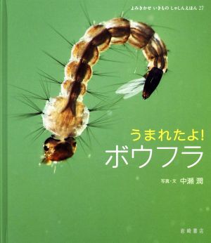 うまれたよ！ボウフラ よみきかせいきものしゃしんえほん27