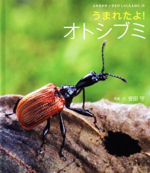 うまれたよ！オトシブミ よみきかせいきものしゃしんえほん26