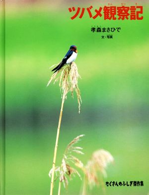 ツバメ観察記 たくさんのふしぎ傑作集