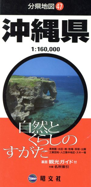 沖縄県 分県地図47