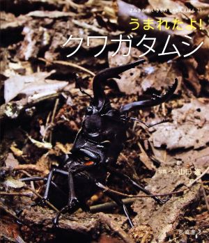 うまれたよ！クワガタムシ よみきかせいきものしゃしんえほん23