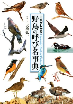 野鳥の呼び名事典 由来がわかる