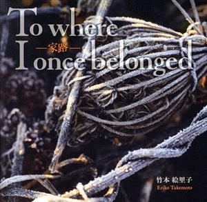 家路:To where I once belonged