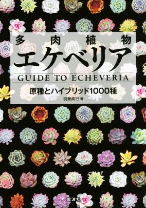 多肉植物エケベリア 原種とハイブリッド1000種