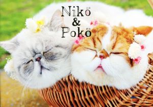 Niko&Poko