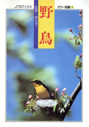 野鳥カラー図鑑4JTBブックス