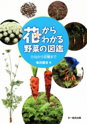 花からわかる野菜の図鑑 たねから収穫まで