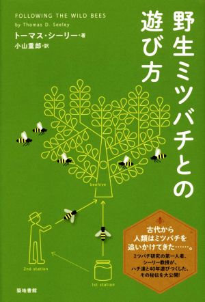 野生ミツバチとの遊び方