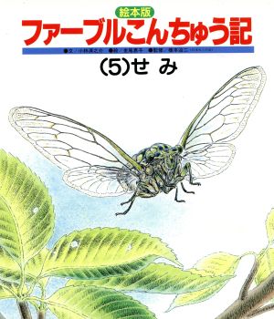 絵本版 ファーブルこんちゅう記(5) せみ チャイルド科学絵本館