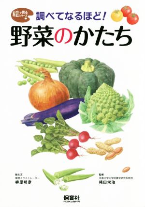 調べてなるほど！野菜のかたち 絵で見るシリーズ